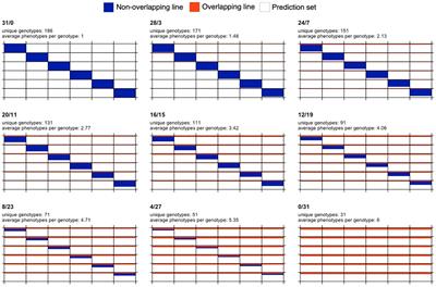 Sparse testing designs for optimizing predictive ability in sugarcane populations